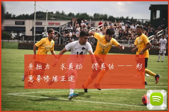 弃拙力・求真松・得真劲 —— 形意拳修炼正途