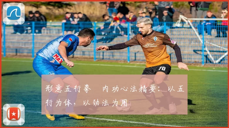 形意五行拳・内功心法精要：以五行为体，以劲法为用
