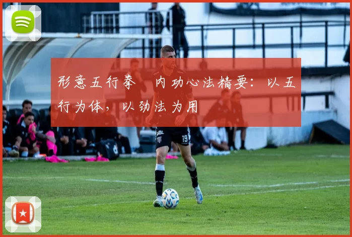 形意五行拳・内功心法精要：以五行为体，以劲法为用