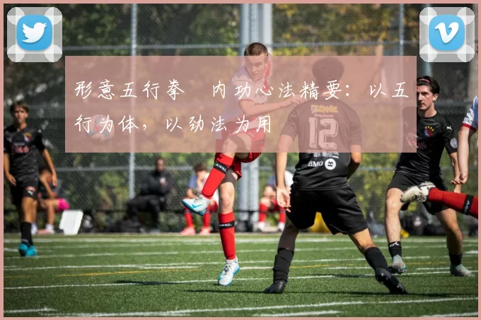 形意五行拳・内功心法精要:以五行为体,以劲法为用