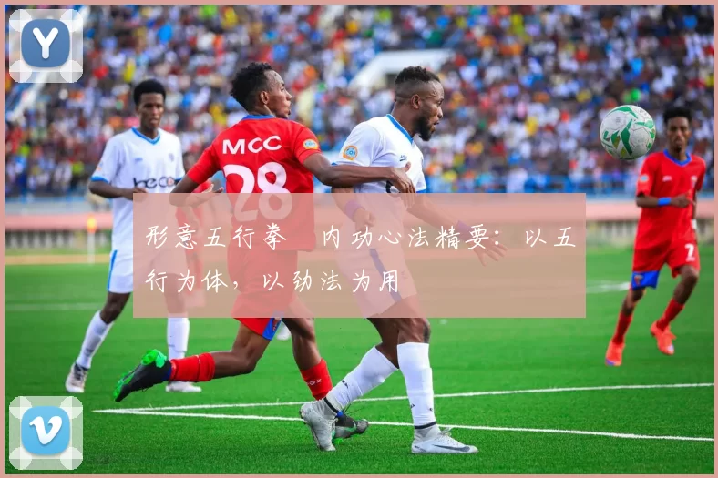 形意五行拳・内功心法精要：以五行为体，以劲法为用