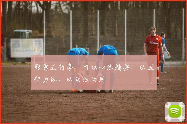 形意五行拳・内功心法精要：以五行为体，以劲法为用