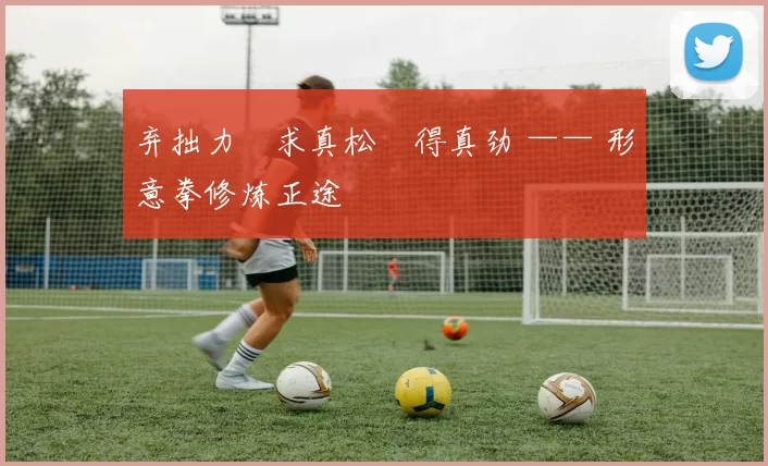 弃拙力・求真松・得真劲 —— 形意拳修炼正途