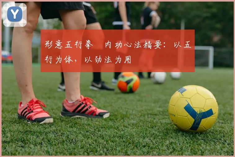 形意五行拳・内功心法精要:以五行为体,以劲法为用