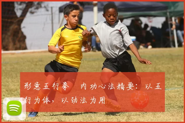 形意五行拳・内功心法精要：以五行为体，以劲法为用