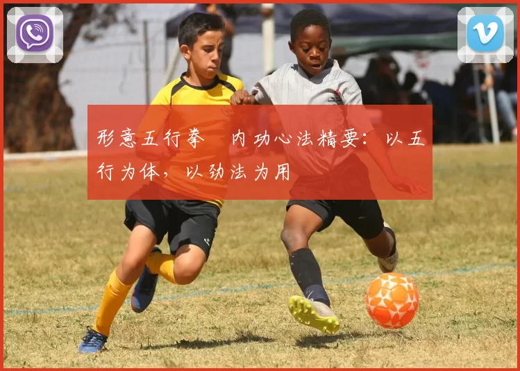 形意五行拳・内功心法精要：以五行为体，以劲法为用