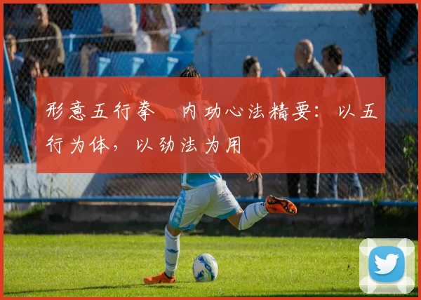 形意五行拳・内功心法精要：以五行为体，以劲法为用