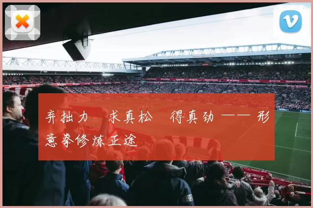 弃拙力・求真松・得真劲 —— 形意拳修炼正途