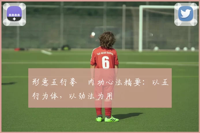 形意五行拳・内功心法精要:以五行为体,以劲法为用