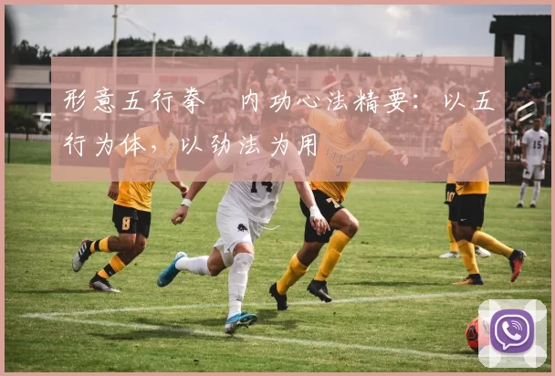 形意五行拳・内功心法精要：以五行为体，以劲法为用