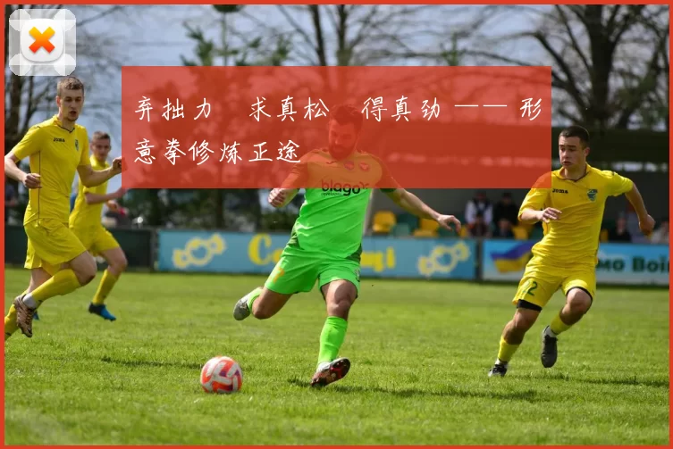 弃拙力・求真松・得真劲 —— 形意拳修炼正途