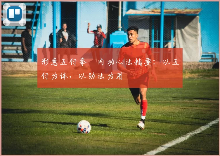 形意五行拳・内功心法精要:以五行为体,以劲法为用