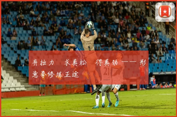 弃拙力・求真松・得真劲 —— 形意拳修炼正途