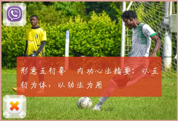 形意五行拳・内功心法精要:以五行为体,以劲法为用