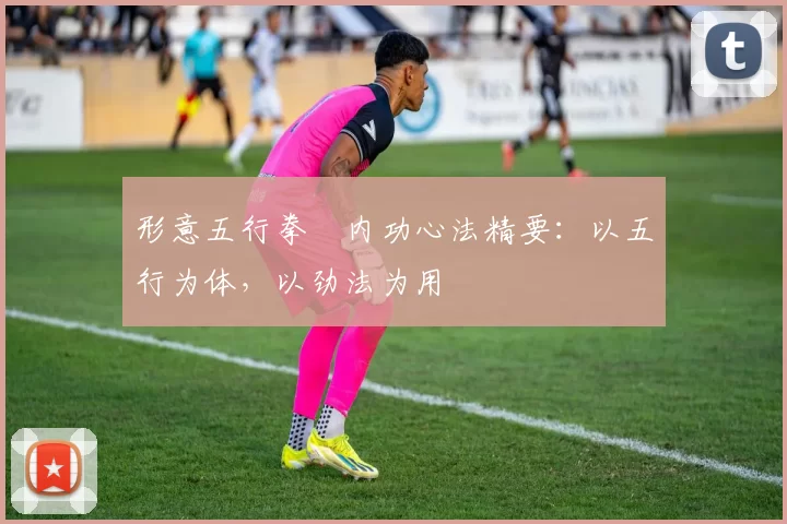 形意五行拳・内功心法精要：以五行为体，以劲法为用