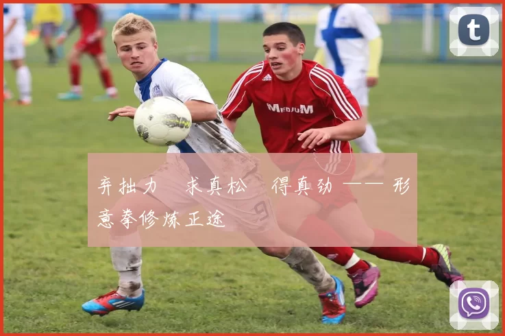 弃拙力・求真松・得真劲 —— 形意拳修炼正途