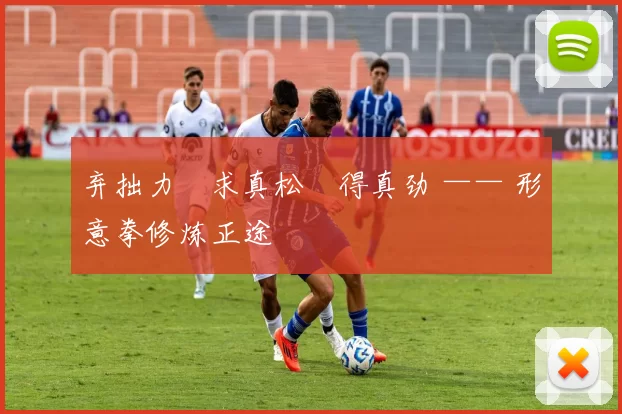 弃拙力・求真松・得真劲 —— 形意拳修炼正途