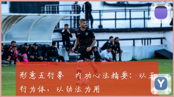 形意五行拳・内功心法精要:以五行为体,以劲法为用