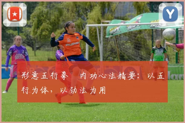 形意五行拳・内功心法精要:以五行为体,以劲法为用