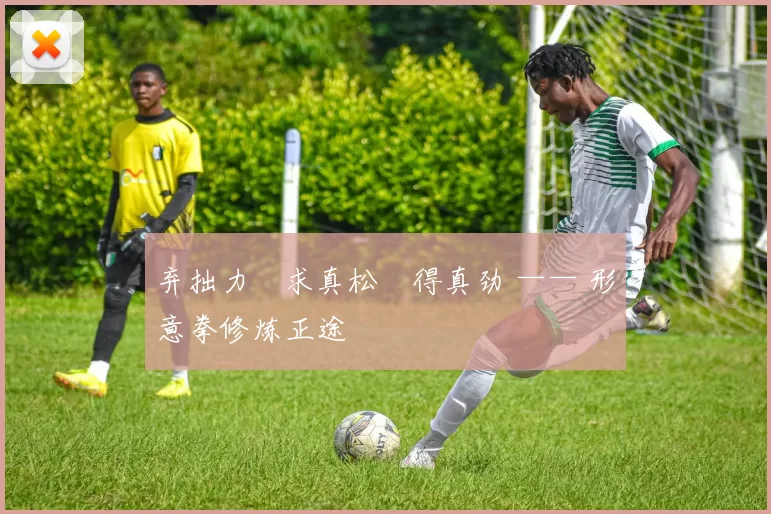 弃拙力・求真松・得真劲 —— 形意拳修炼正途