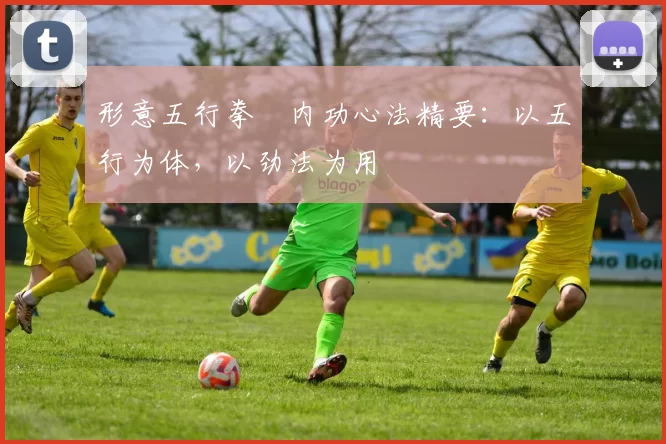 形意五行拳・内功心法精要：以五行为体，以劲法为用