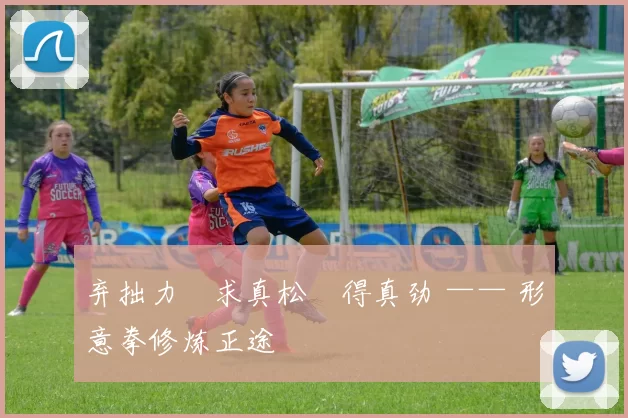 弃拙力・求真松・得真劲 —— 形意拳修炼正途