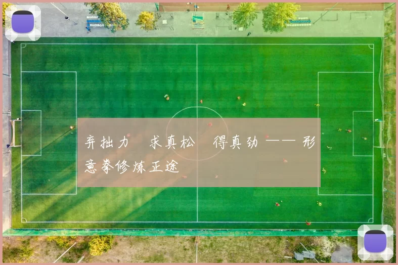 弃拙力・求真松・得真劲 —— 形意拳修炼正途