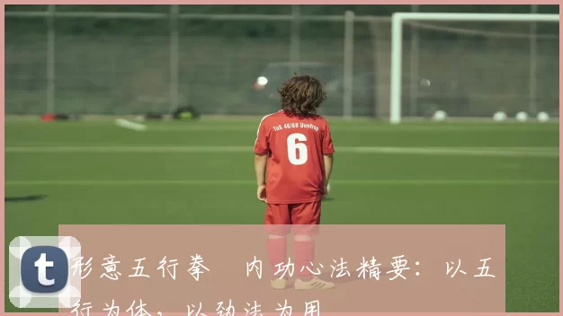 形意五行拳・内功心法精要:以五行为体,以劲法为用