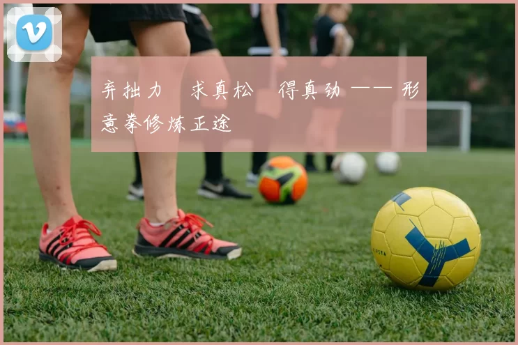 弃拙力・求真松・得真劲 —— 形意拳修炼正途