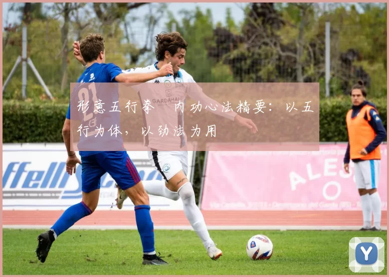 形意五行拳・内功心法精要：以五行为体，以劲法为用