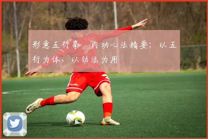 形意五行拳・内功心法精要:以五行为体,以劲法为用