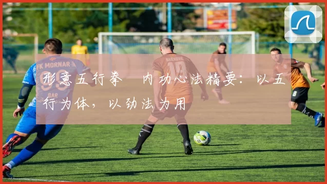 形意五行拳・内功心法精要：以五行为体，以劲法为用