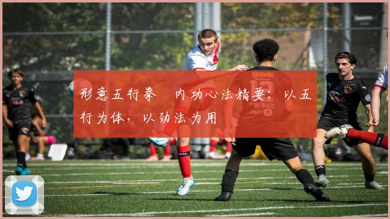 形意五行拳・内功心法精要:以五行为体,以劲法为用