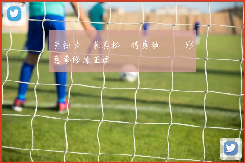 弃拙力・求真松・得真劲 —— 形意拳修炼正途