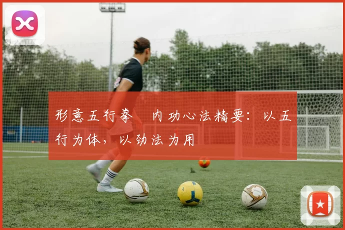 形意五行拳・内功心法精要:以五行为体,以劲法为用