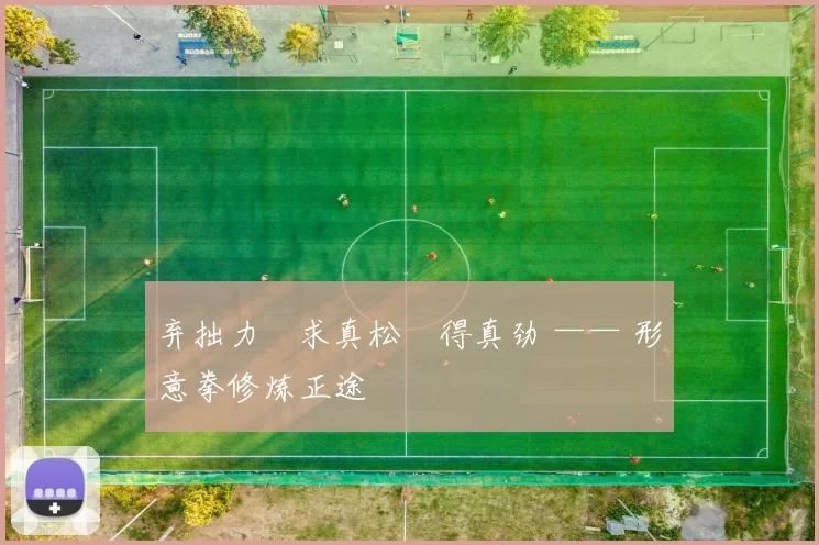 弃拙力・求真松・得真劲 —— 形意拳修炼正途