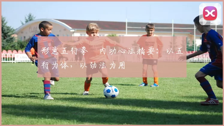 形意五行拳・内功心法精要:以五行为体,以劲法为用