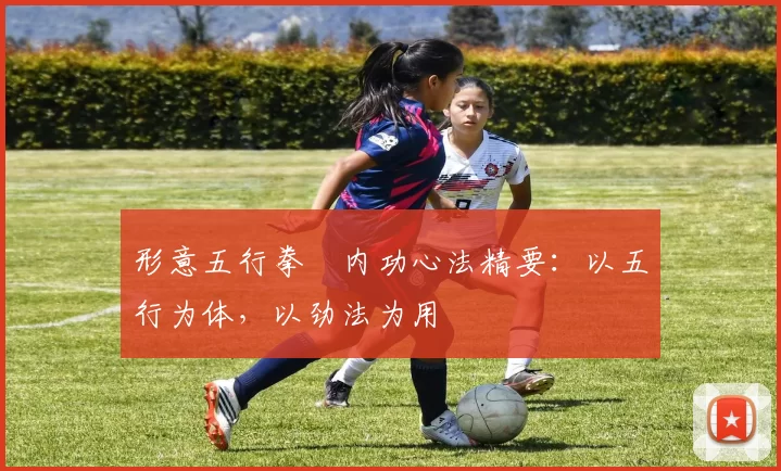 形意五行拳・内功心法精要:以五行为体,以劲法为用