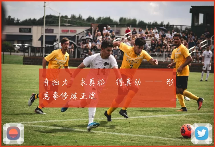 弃拙力・求真松・得真劲 —— 形意拳修炼正途