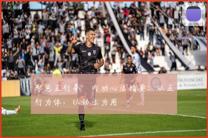 形意五行拳・内功心法精要：以五行为体，以劲法为用