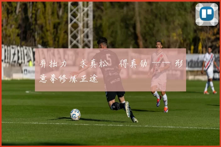 弃拙力・求真松・得真劲 —— 形意拳修炼正途