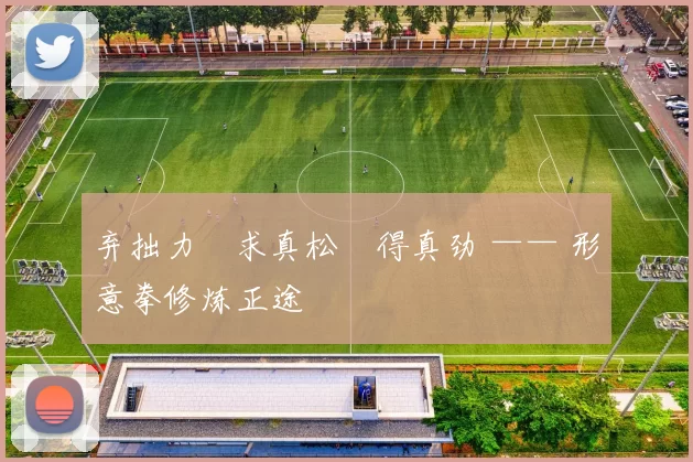 弃拙力・求真松・得真劲 —— 形意拳修炼正途