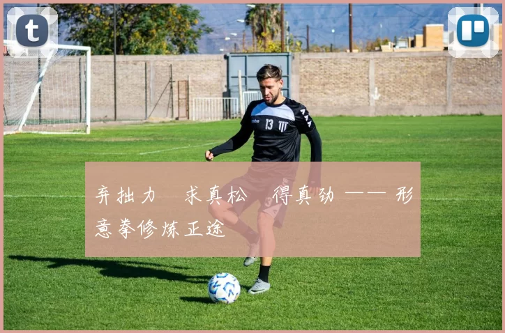 弃拙力・求真松・得真劲 —— 形意拳修炼正途