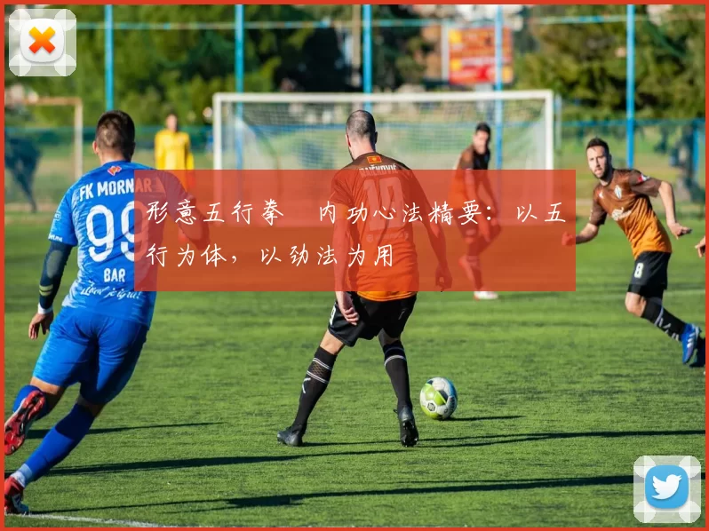 形意五行拳・内功心法精要：以五行为体，以劲法为用