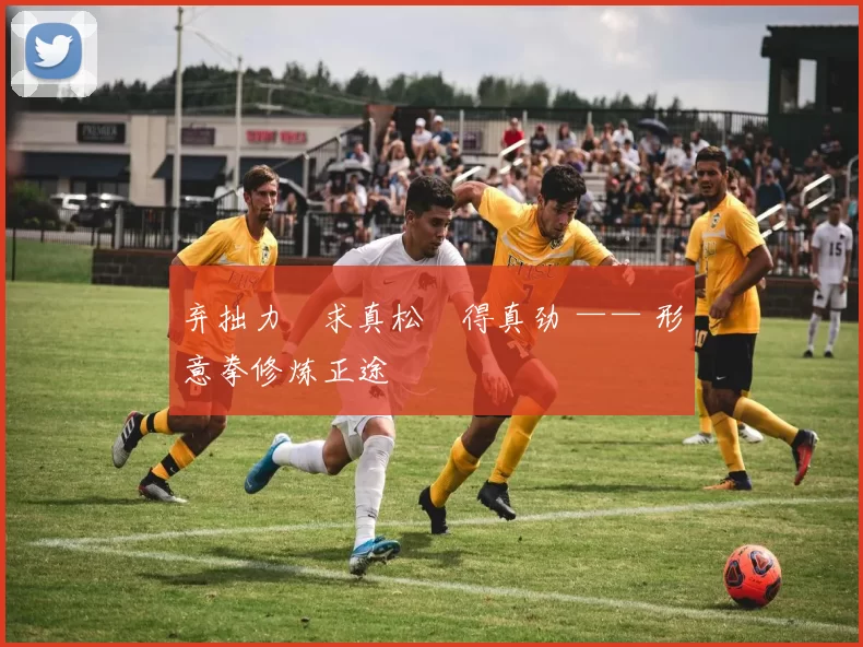 弃拙力・求真松・得真劲 —— 形意拳修炼正途