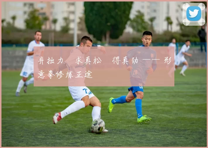 弃拙力・求真松・得真劲 —— 形意拳修炼正途