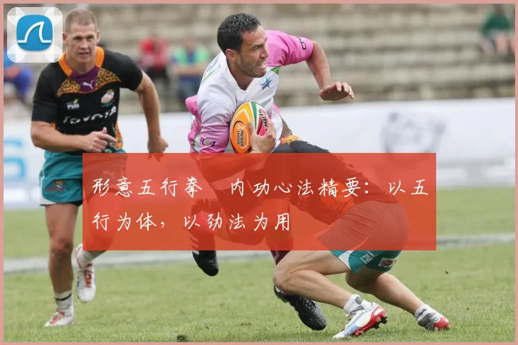 形意五行拳・内功心法精要：以五行为体，以劲法为用