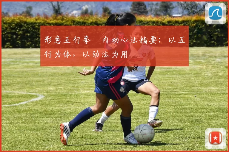 形意五行拳・内功心法精要：以五行为体，以劲法为用