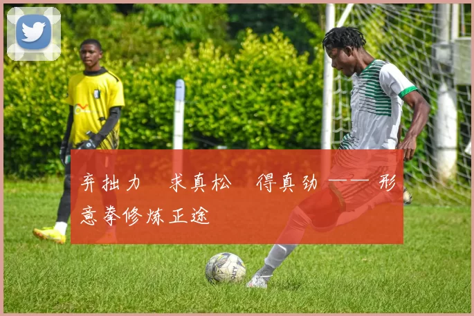 弃拙力・求真松・得真劲 —— 形意拳修炼正途