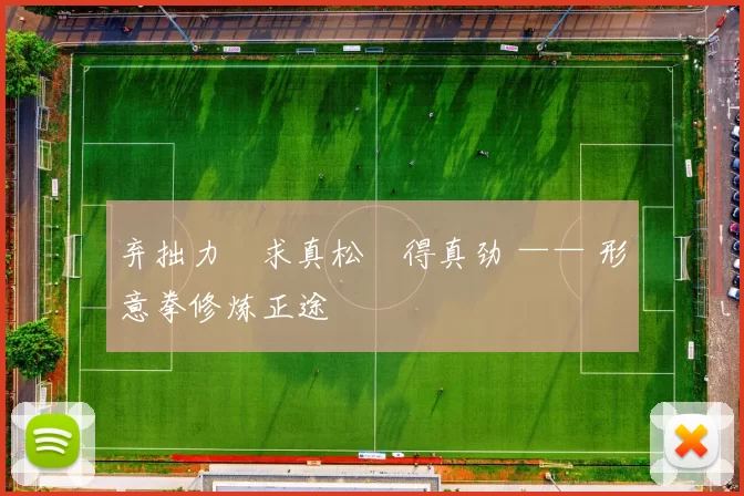 弃拙力・求真松・得真劲 —— 形意拳修炼正途